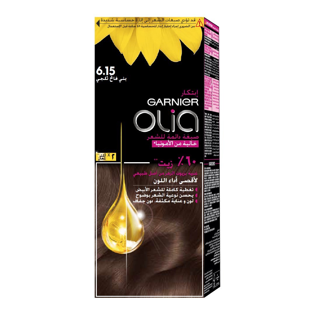 Garnier Olia 6.15 Frozen light brown - dsonline.me