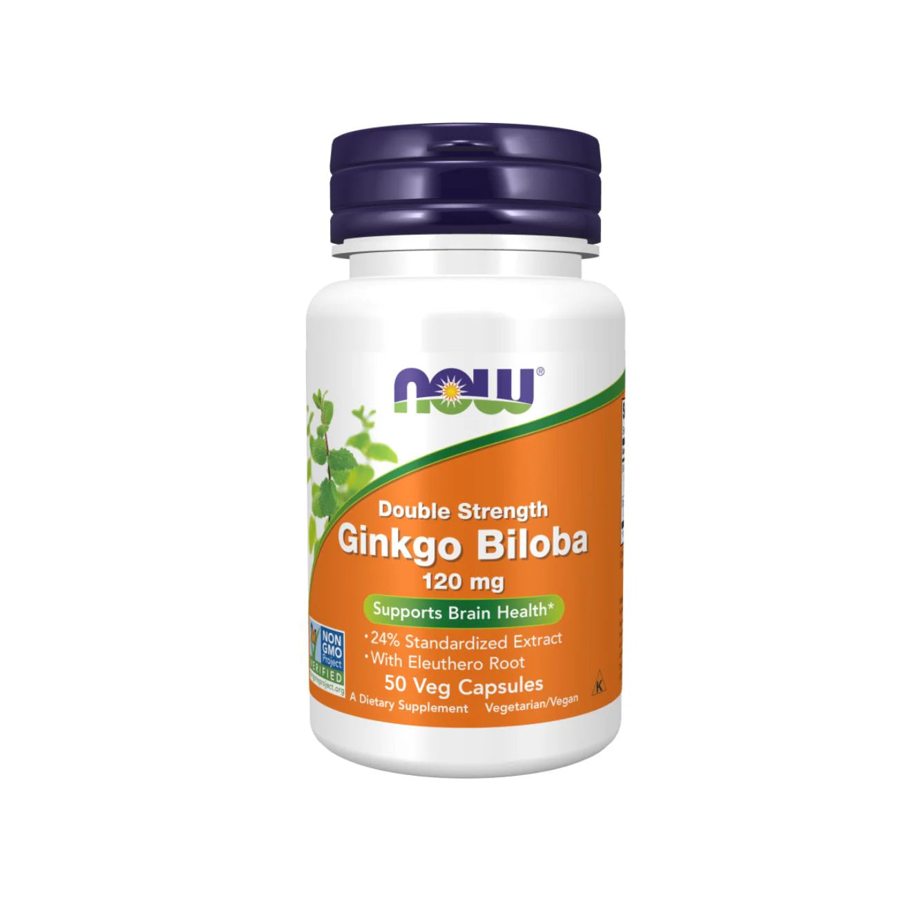 Now Ginkgo Biloba 120Mg