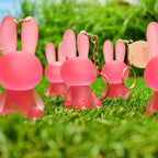 Essence Somebunny Like You Lipgloss